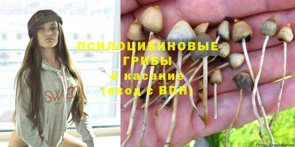 марки nbome Алексеевка