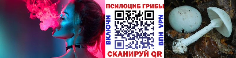 Галлюциногенные грибы ЛСД  Отрадная 